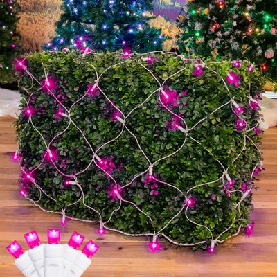 Novelty Lights 4x6 Net Lights, 100 LEDs with 4 Inch Spacing, 5mm Wide Angle Bulbs, Connectable End To End, Indoor/Outdoor