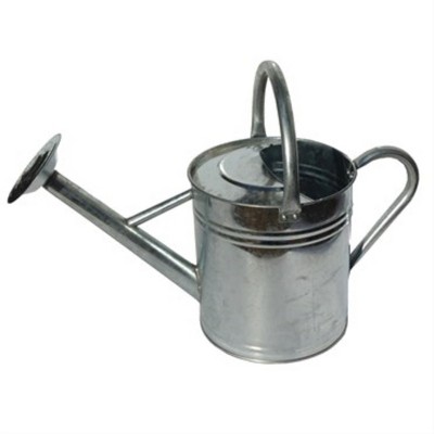 Gardener's Select Classic Metal Gardening Watering Can