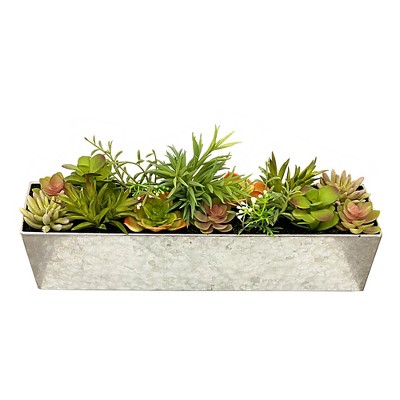 Essential Decor & Beyond Tabletop Artificial Plastic Succulent Cactus Plant in Metal Pot Decoration