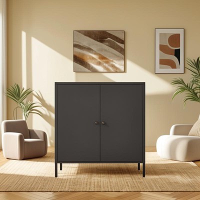 Steel Double-Door Metal Sideboard Buffet Cabinet, Modern Minimalist Style, Combining Storage and Decorative Functions, Suitable for Kitchen