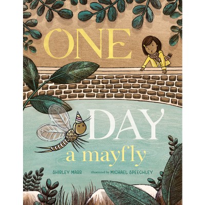 One Day a Mayfly - by  Shirley Marr (Hardcover)