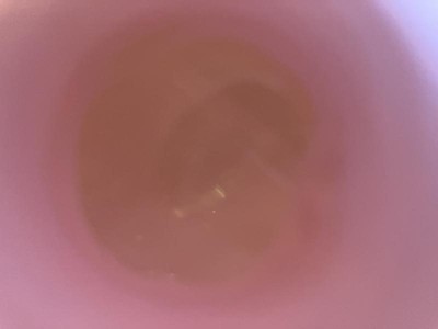 Guest review image 1 of 4, zoom in