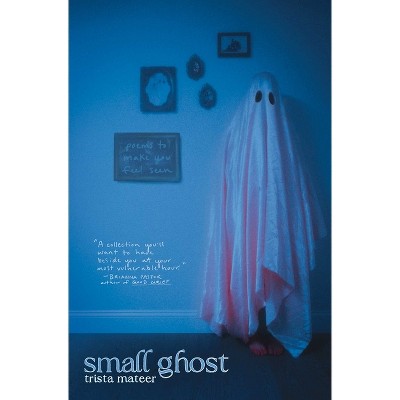 Small Ghost - by  Trista Mateer (Paperback)