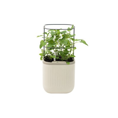 Vego Garden Self-Watering Mini Rectangular Indoor Outdoor Planter Pot with Trellis 7"x7"x14"