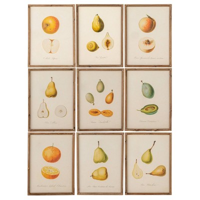 Storied Home (Set of 9) Reclaimed Wood Framed Fruit Print Wall Art Set: MDF, Modern Decor, Vertical Canvas, Sawtooth Back