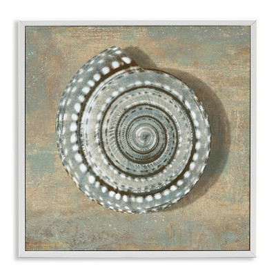 Stupell Industries Spiral Shell Beach Objects Design Black Framed Giclee Art