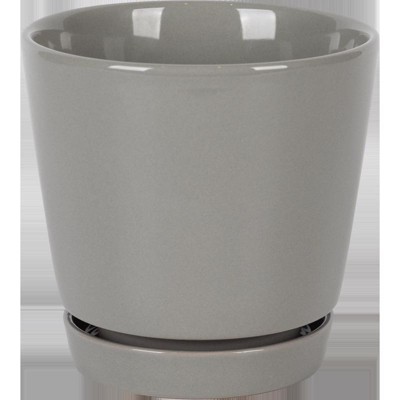 Border Concepts - Ceramic - Flair Saucer Planter - Gray - 6 in. - Case of 6