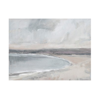 Trademark Fine Art - Tim OToole  Lavender Mist Coast II Canvas Art