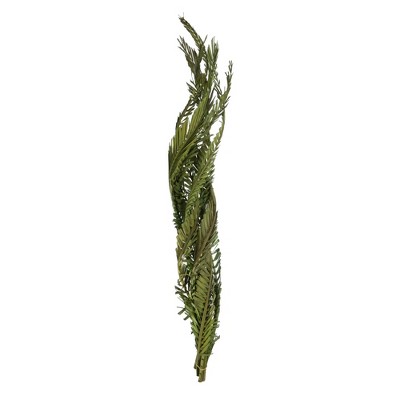 Vickerman 40-48" Twisted Coco Palm Stems, Dried