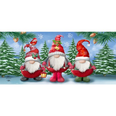 Briarwood Lane Winter Winter Gnomes Mini Mat 22x10 Indoor Outdoor For Winter Doormat