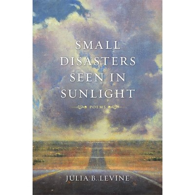 Small Disasters Seen in Sunlight - (Barataria Poetry) by  Julia B Levine (Paperback)