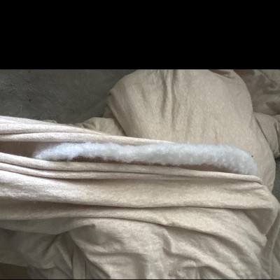 Guest review image 1 of 1, zoom in