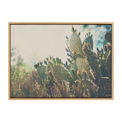 23" x 33" Sylvie A Desert Prickly Pear Cactus Framed Canvas Natural - Kate & Laurel All Things Decor: Wall Display Art