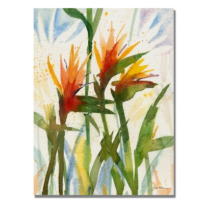 Trademark Fine Art -Sheila Golden 'Birds of Paradise' Canvas Art