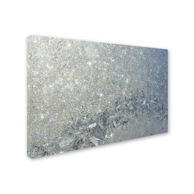 Trademark Fine Art - Kurt Shaffer 'Frost Pattern Sun Stars'