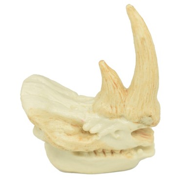 Collectible Wildlife Gifts | Rhino, Rhinoceros Skull, Plastic Toy Animal,  Gift, Realistic Figure, Educational Model,  Gift,       2"      F4119 B193