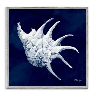 Stupell Industries Cyanotype Shells Traditional Conch Black Framed Giclee Art