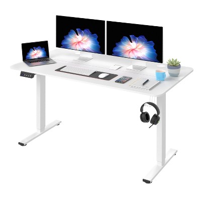 FDW 40/48/55 Adjustable Height Standing Desk Computer Desk with Large Space Office Desk with Electric Lifting and 2 Memory Function