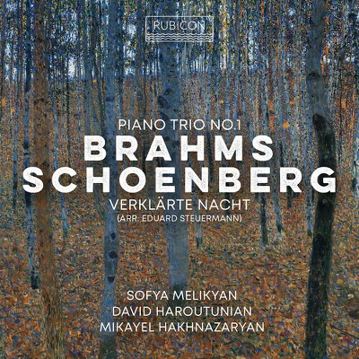 Sofia Melikyan - Brahms: Piano Trio No.1; Schoenberg: Verklarte Nacht (CD)