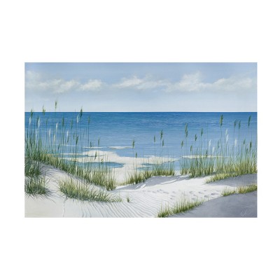 Trademark Fine Art - Max Maxx Beach Grass Canvas Art