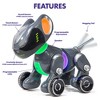 Educational Insights Pyxel The Coding Pet: Includes USB Cable & Instruction Guide for 3rd Grade Science Learning - 4 of 4
