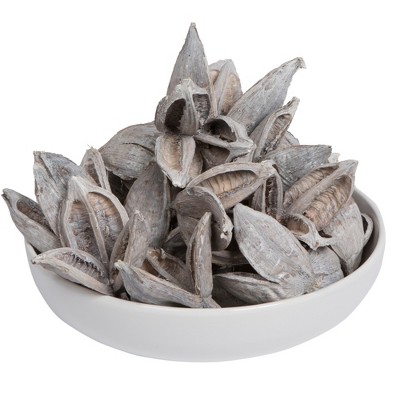 Vickerman 3"-4" Sora Pods, Dried