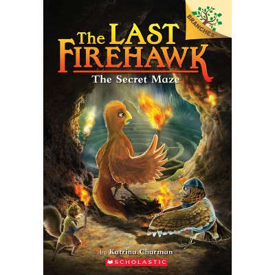 The Secret Maze: A Branches Book (the Last Firehawk #10) - by  Katrina Charman (Paperback)