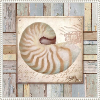 Amanti Art Beach Shell III by Elizabeth Medley Framed Canvas Wall Art