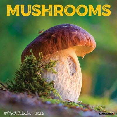 Willow Creek Press 2026 Mushrooms Wall Calendar