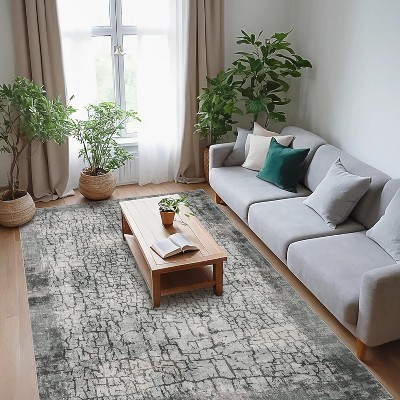 Acekool Abstract Area Rug, Washable Non-Slip Low Pile Carpet for Living Room Bedroom Kitchen, Soft Modern Distressed Accent Rug