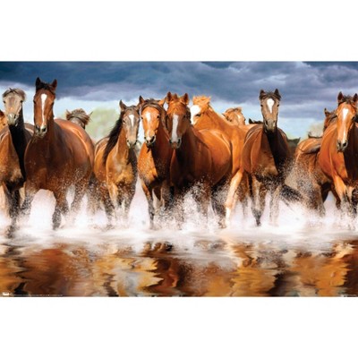 Trends International Horses Framed Wall Poster Prints