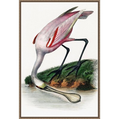 23"x33" Spoonbill Crane by Incado Framed Canvas Wall Art Print Bronze - Amanti Art: Hand-Stretched, Modern Decor