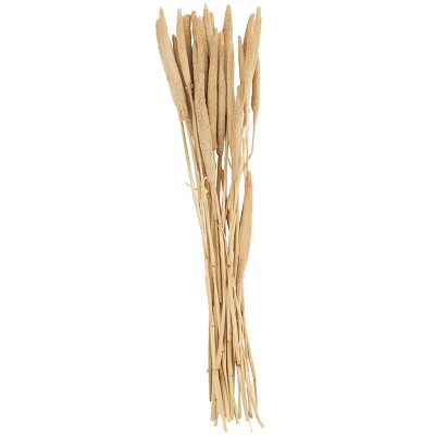 20'' x 1'' Dried Plant Bunny Tail Natural Foliage with Long Stems White - Olivia & May: Elegant Home Accent