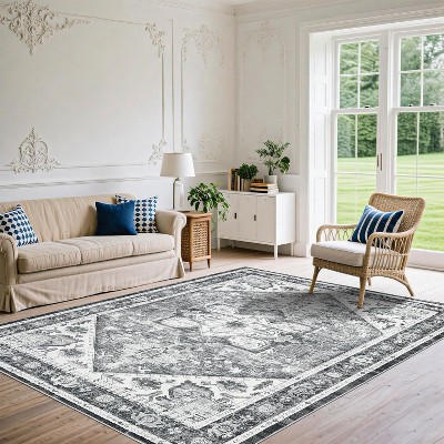 Washable Rug - Low Pile Ultra-Thin Soft Carpet with Non-Slip Backing, Non-Shedding Accent Rug for Living Room, Bedroom, Entryway