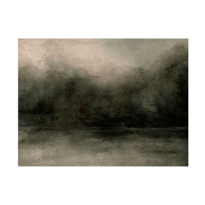 Trademark Fine Art - Emma Caroline  Smoky Tree Horizon II Canvas Art
