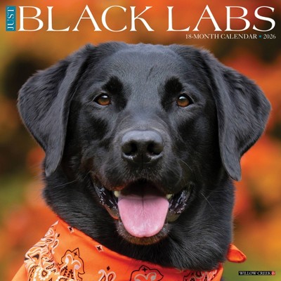Willow Creek Press 2026 Black Labs Wall Calendar