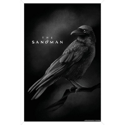 Trends International DC The Sandman (2022) - Matthew The Raven Framed Wall Poster Prints