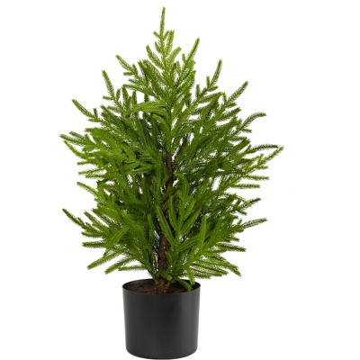 Nearly Natural 2-ft Norfolk Island Pine Natural Look Artificial Tree in Decorative Planter