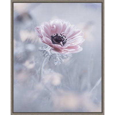 16" x 20" La Reine De Neiges Flower by Fabien Bravin Framed Canvas Wall Art - Amanti Art: Modern Botanical Lithograph, Polystyrene Frame