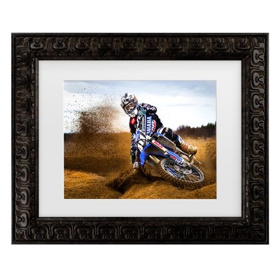 Trademark Fine Art - Attila Szabo Desert King Matted Framed Art