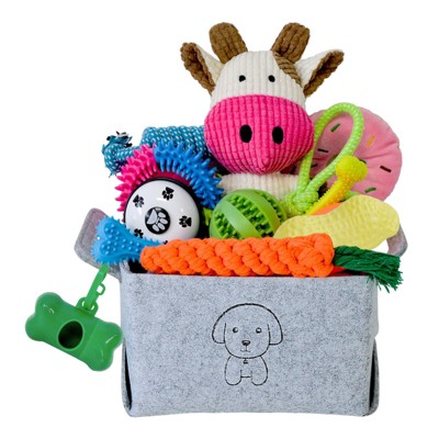 Itopfox 20Pcs Puppy Chew Toys for Teething, Dog Toys with Rope, Toothbrush, Treat Balls, Plush & Squeaky Toys for Small Medium Dogs