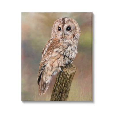 Stupell Industries Brown Tawny Owl Perched Framed Giclee