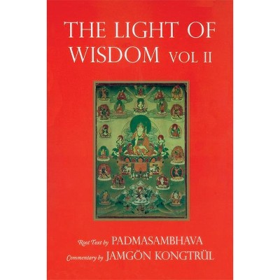 Light of Wisdom, Volume II - by  Marcia Binder Schmidt (Paperback)