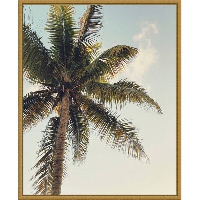 16" x 20" Coconut Palm by Olivia Joy Framed Canvas Wall Art - Amanti Art: Nature-Inspired Decor, Vertical Layout