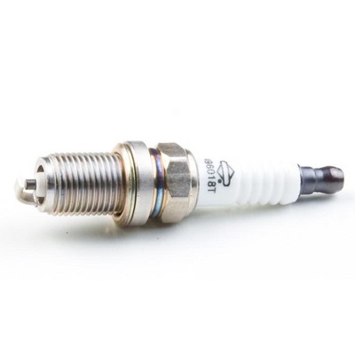 Briggs and Stratton 496018S Spark Plug Replaces 496018/189506/189506GS