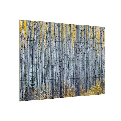 Trademark Fine Art-Pierre Leclerc 'Forest Of Aspen Trees' Multi Panel Art Set Large 3 Piece
