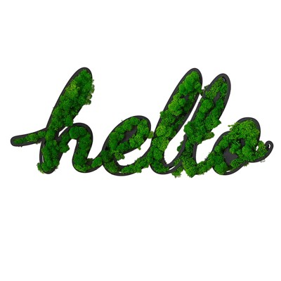 DSVIMOY HELLO Letter Art Moss Wall Decor for Hallway Office Wall Decor, Green, 31.5"*13.2"*1.58"