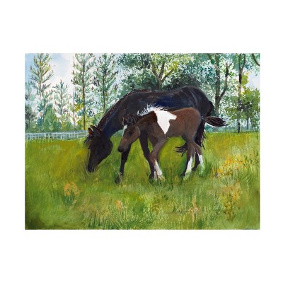 Trademark Fine Art - Joanne Porter Horses in a Pasture Canvas Art