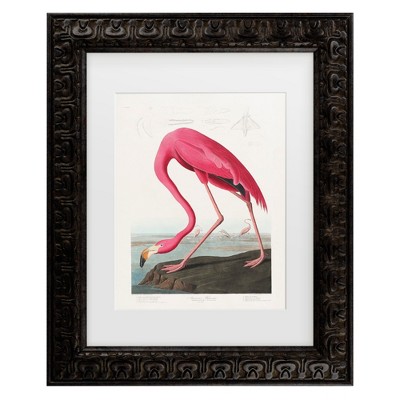 Trademark Fine Art - Pictufy  Pink Flamingo From Birds of America 1827 Matted Framed Art