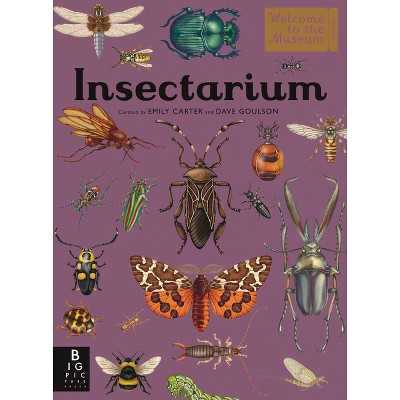 Insectarium - (Welcome to the Museum) by  Dave Goulson (Hardcover)